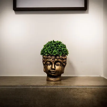 Boardinghaus Gruenefeld W1 - Schoene Serviced - Kueche - Smart Tv - P - Rainshower Mettingen (North Rhine-Westphalia)